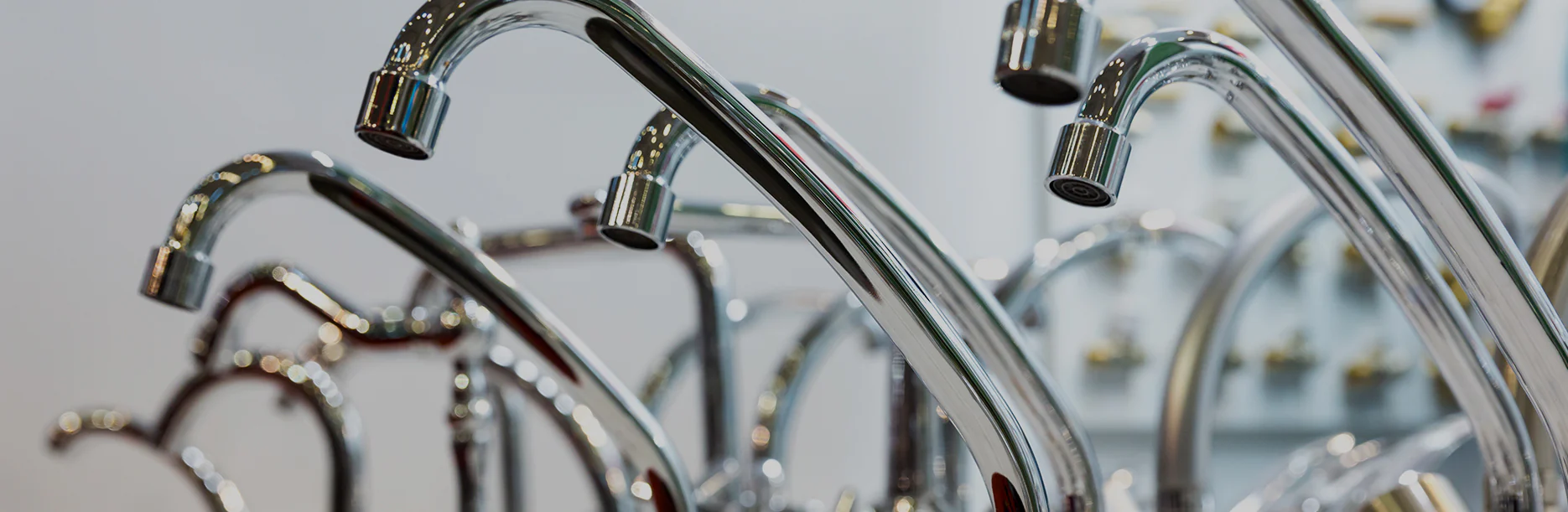 Build Your Legacy with Zion